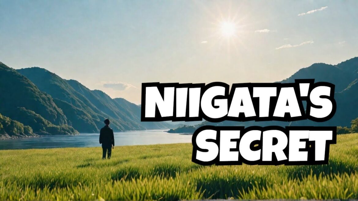 Niigata's HIDDEN GEM! You MUST Visit this Place