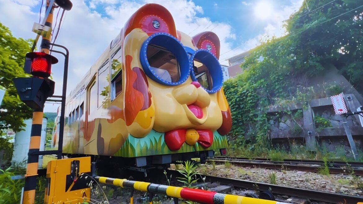 Taking Japan's Unique Cat and Dog Cable Car Ride!