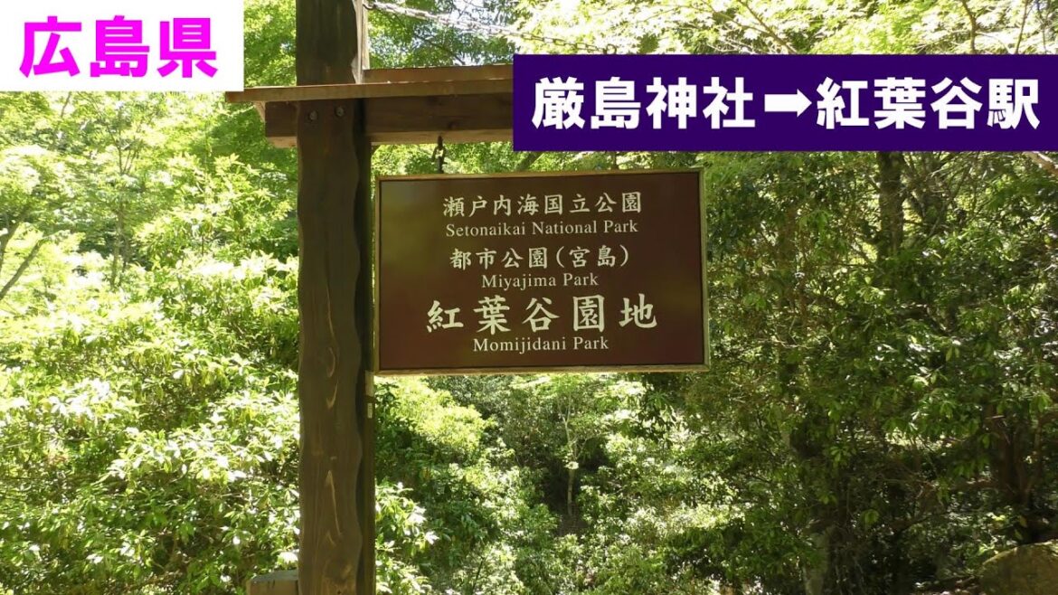 [ Hiroshima ] 厳島神社 ➡ 宮島ロープウェー / May 2024 _ P5