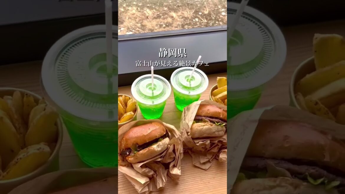 A cafe with a calming view of Mt Fuji 🗻 #japan #travel #amazingjapan #fuji