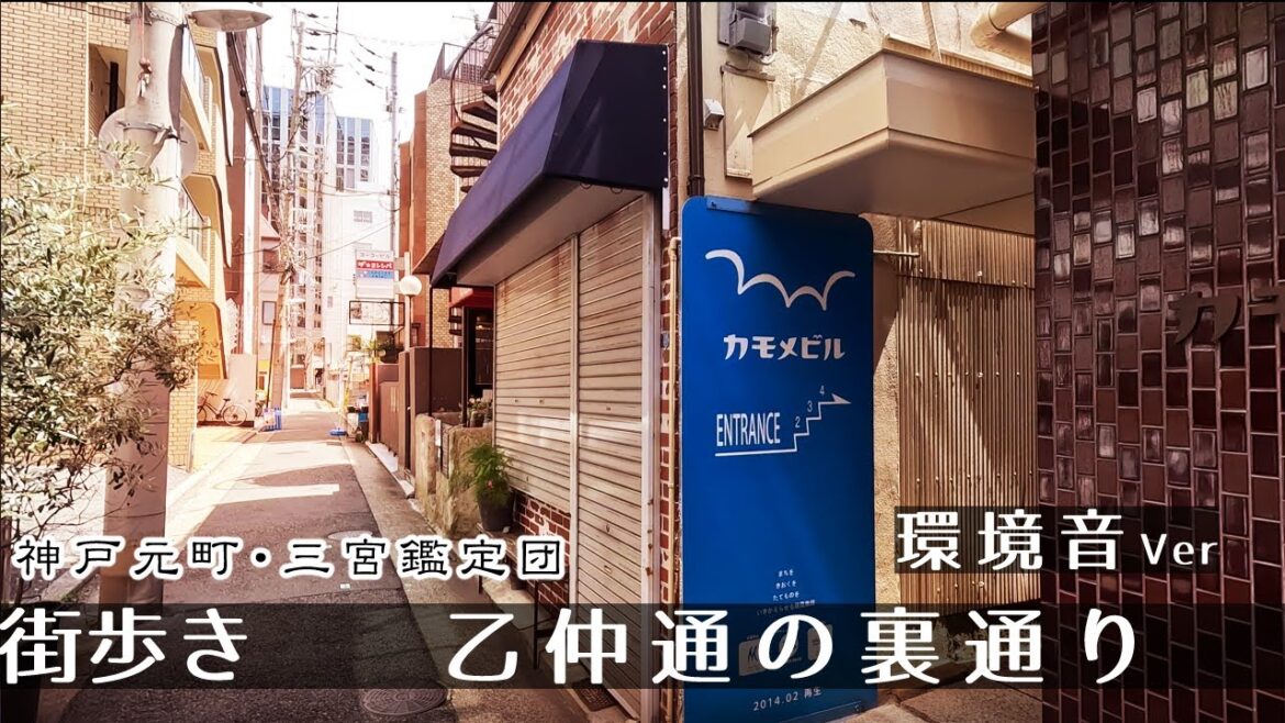 【環境音ver】乙仲通の裏通り(神戸元町)  街歩き２K　GoProHero11　Walk in  Kobe Motomachi OtunakaStreet.　Japan