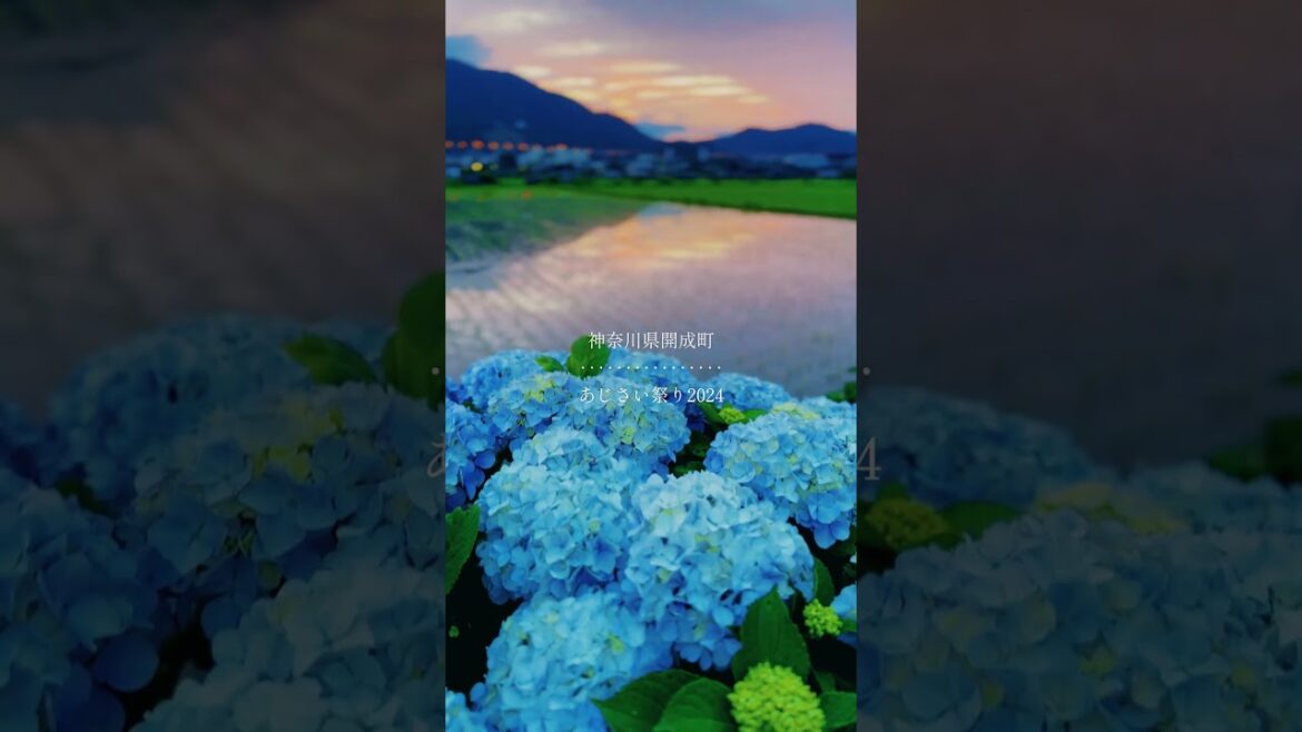 Wonders Of Japan 🏰💕|| Peaceful Day 🤩|| Preety sights🌺 || Visit Japan || Travel japan #fypシ゚viral