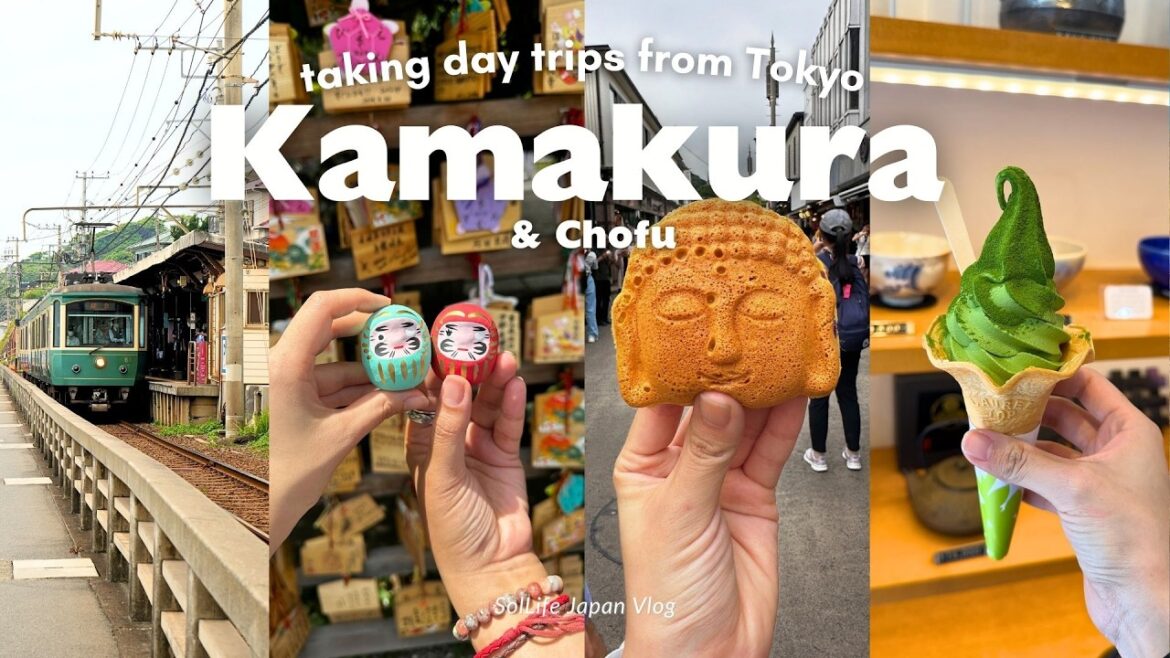Day trips from Tokyo | Kamakura & Chofu | Visiting local Temples| street food | Japan VLOG Day trips from Tokyo | Kamakura & Chofu | Visiting local Temples| street food | Japan VLOG