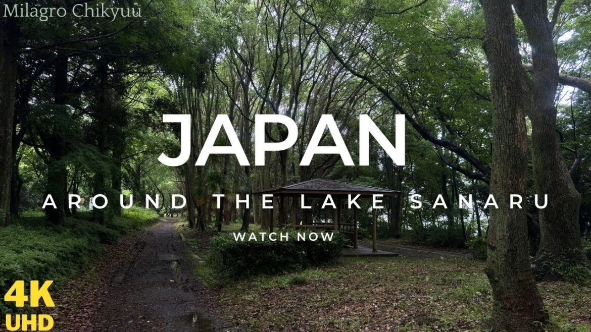Virtual Walk Around The Lake Sanaru Hamamatsu In Japan – 4K Video In Ambience Sounds Virtual Walk Around The Lake Sanaru Hamamatsu In Japan - 4K Video In Ambience Sounds