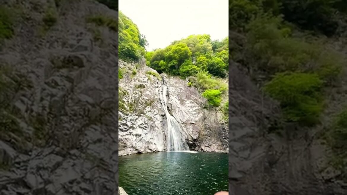 神戸”布引の滝”/Fall in Kobe #shorts #fall #kobe