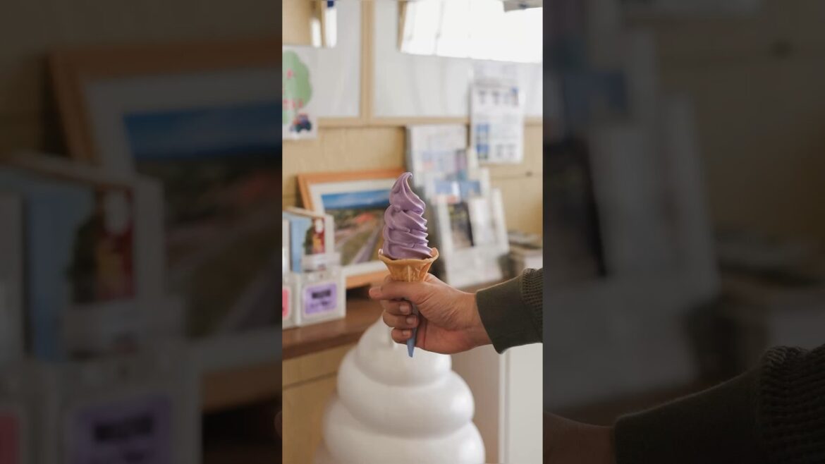 What to do In Hokkaido?🍦✨ #hokkaido #japan  #fujifilm #softserve