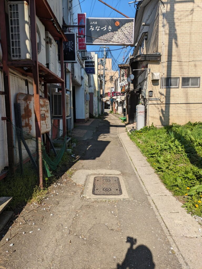 Mutsu, Aomori. Night entertainment district