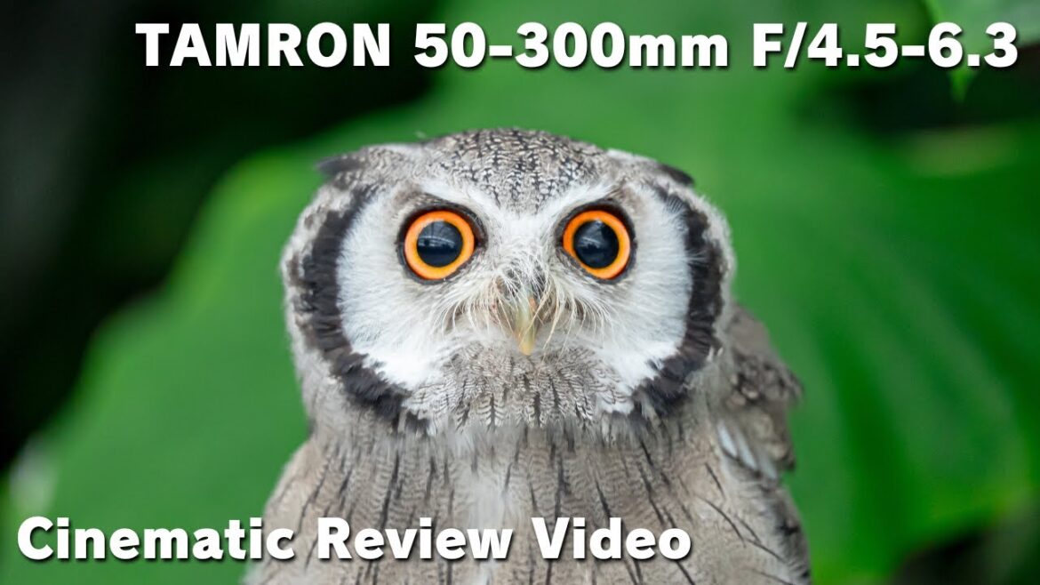 TAMRON 50-300mm F4.5-6.3 / Cinematic Review Video / Japan / Shizuoka / SONY α7SⅢ TAMRON 50-300mm F4.5-6.3 / Cinematic Review Video / Japan / Shizuoka / SONY α7SⅢ