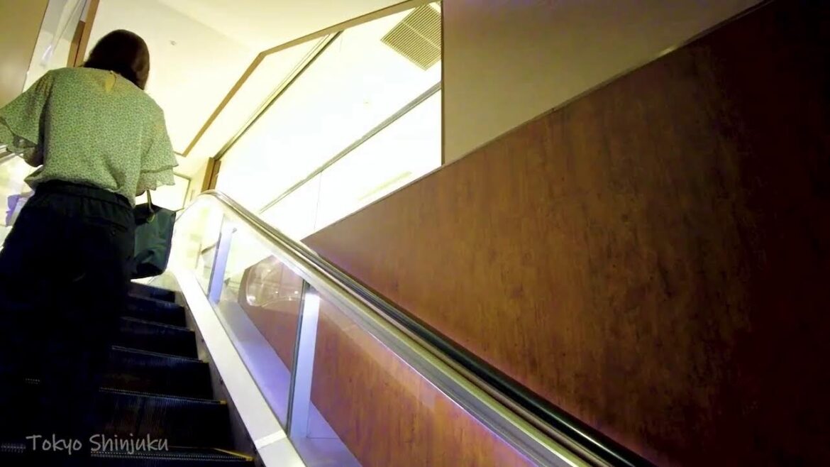🔴Tokyo Night Adult Walk+ 24/7✨🌃♪Shinjuku,Shibuya, Asakusa.etc🐶🍻💝Please Subscribe!💖⬇︎⬇︎⬇︎ 🔴Tokyo Night Adult Walk+ 24/7✨🌃♪Shinjuku,Shibuya, Asakusa.etc🐶🍻💝Please Subscribe!💖⬇︎⬇︎⬇︎