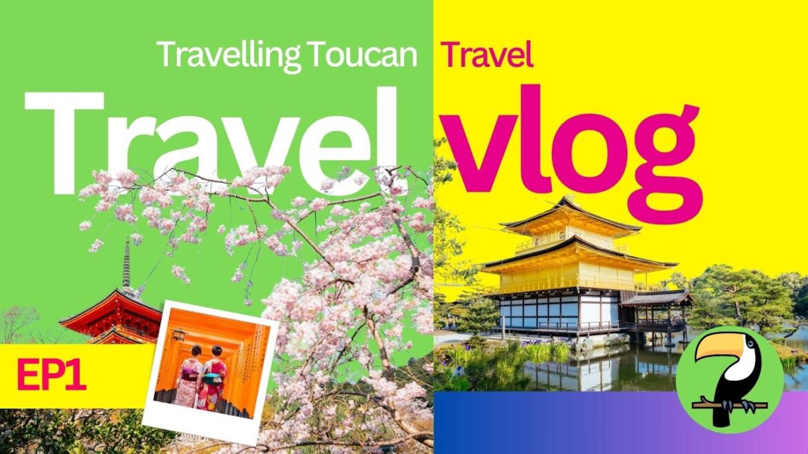Kyoto Travel Tips: 5 Do's and Don'ts You MUST Know!   |   The Travelling Toucan