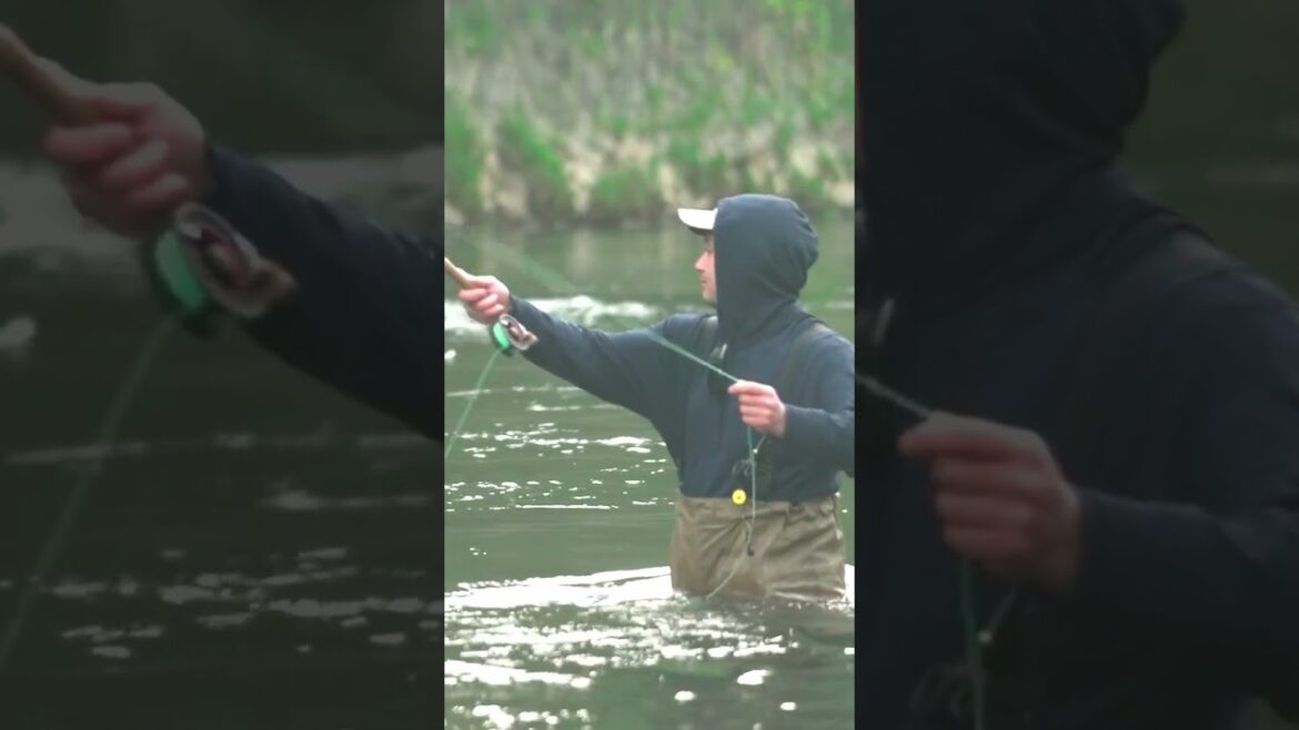 Hokkaido Guided Fly Fishing Tours