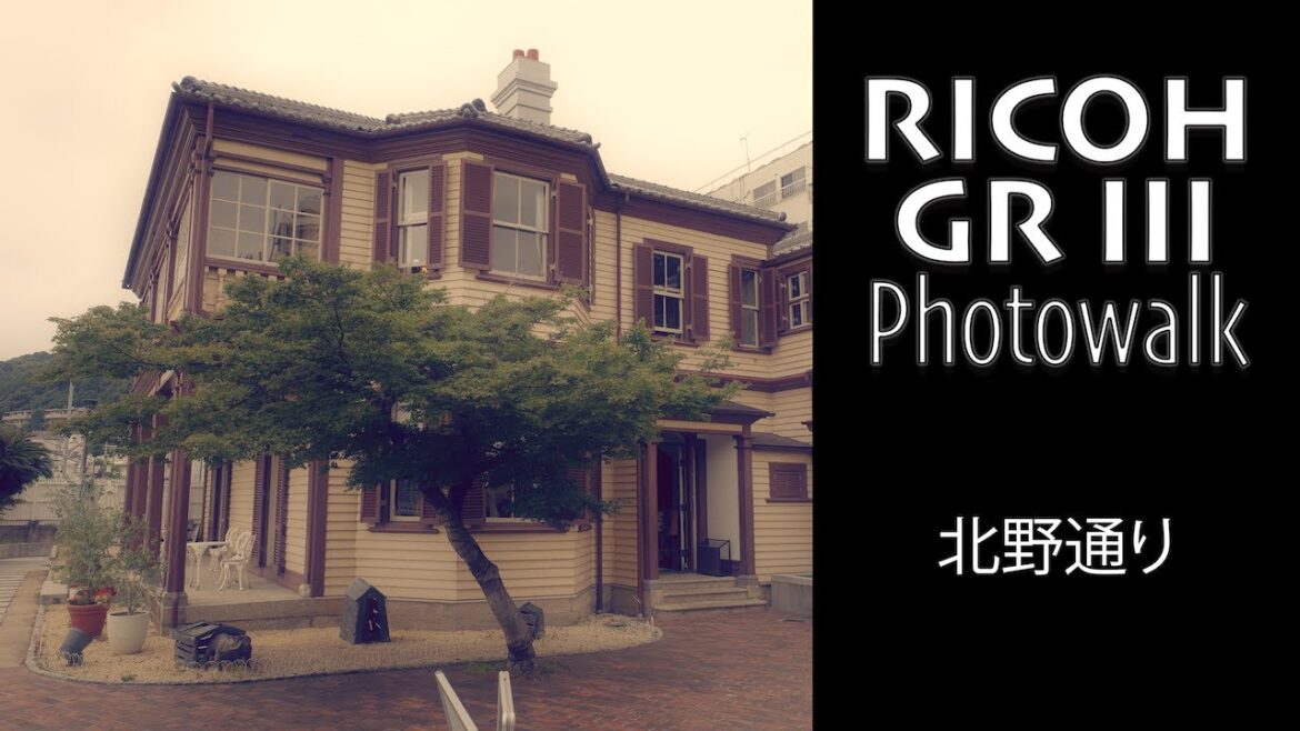 RICOH GR III POV Photowalk - KITANO STREET [北野通り] in KOBE [神戸] (Vintage Print)・JAPAN