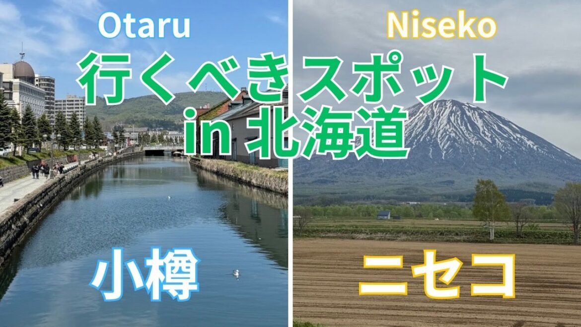 行くべきスポットin 北海道　小樽　ニセコ　vlog    海鮮丼　三角市場　小樽運河　羊蹄山　hokkaido otaru niseko
