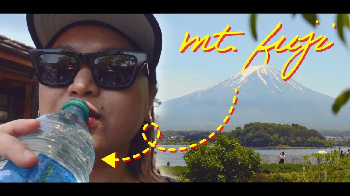 this is the BEST spring water straight from MT. FUJI! | DAY TOUR | (almost) silent vlog
