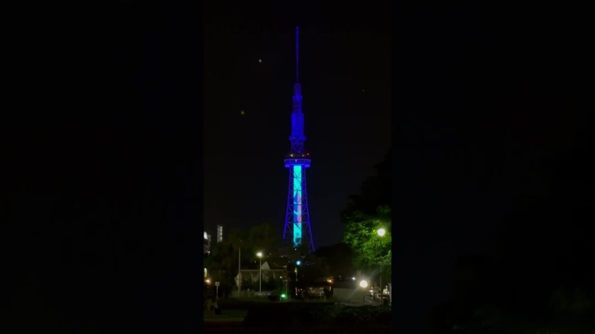 Nagoya TV tower by night ⭐️#nagoya #travel #japan