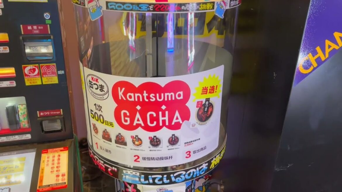 Premium Canned Snacks Gacha Random Capsule Vending Machine Premium Canned Snacks Gacha Random Capsule Vending Machine