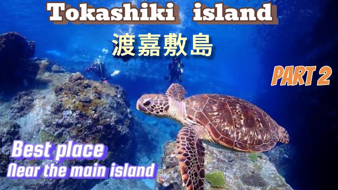 Okinawa, tokashiki island japan part 2 | 渡嘉敷島 | Exploring tokashiki island near the main island Okinawa, tokashiki island japan part 2 | 渡嘉敷島 | Exploring tokashiki island near the main island