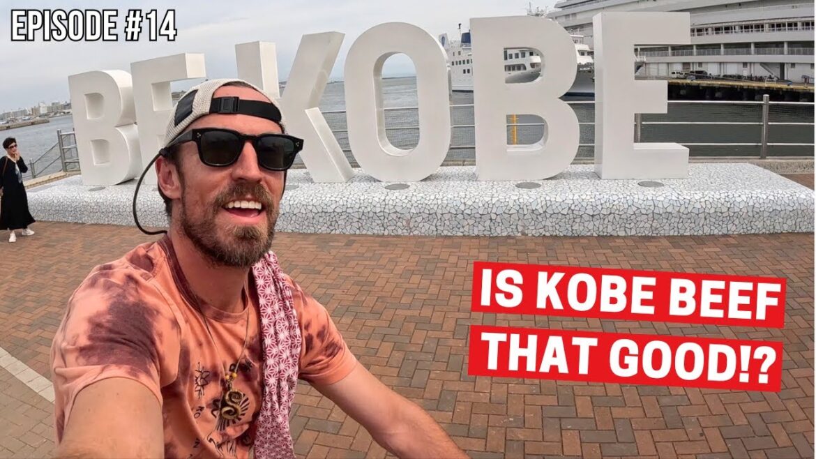 I Rode A Bicycle From OSAKA To KOBE!  | Bike Touring Japan #14