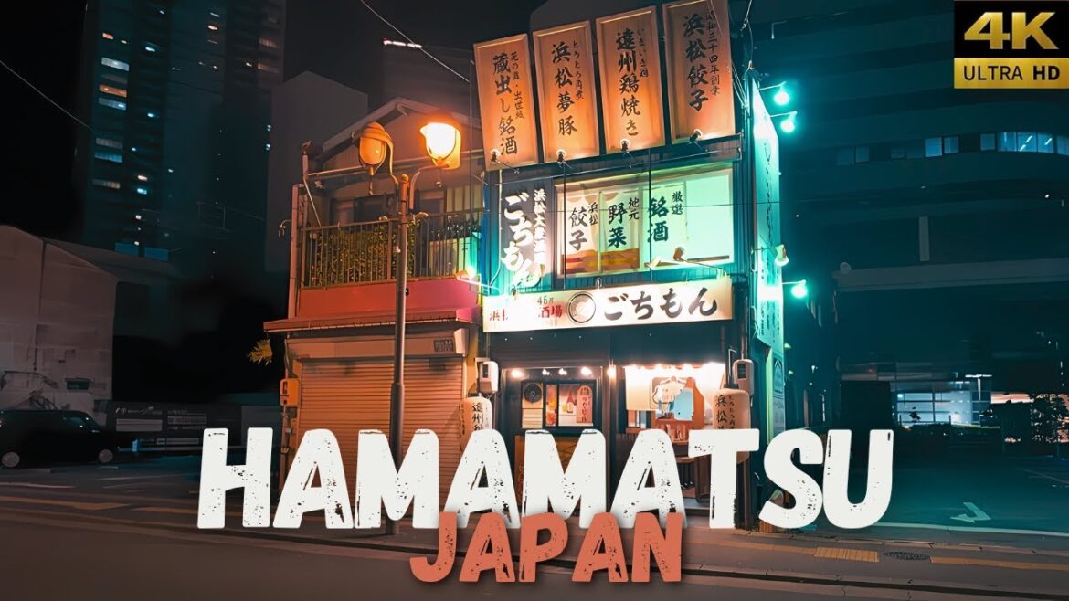 [Japan] Night Walk in Downtown of Hamamatsu - 4K HDR