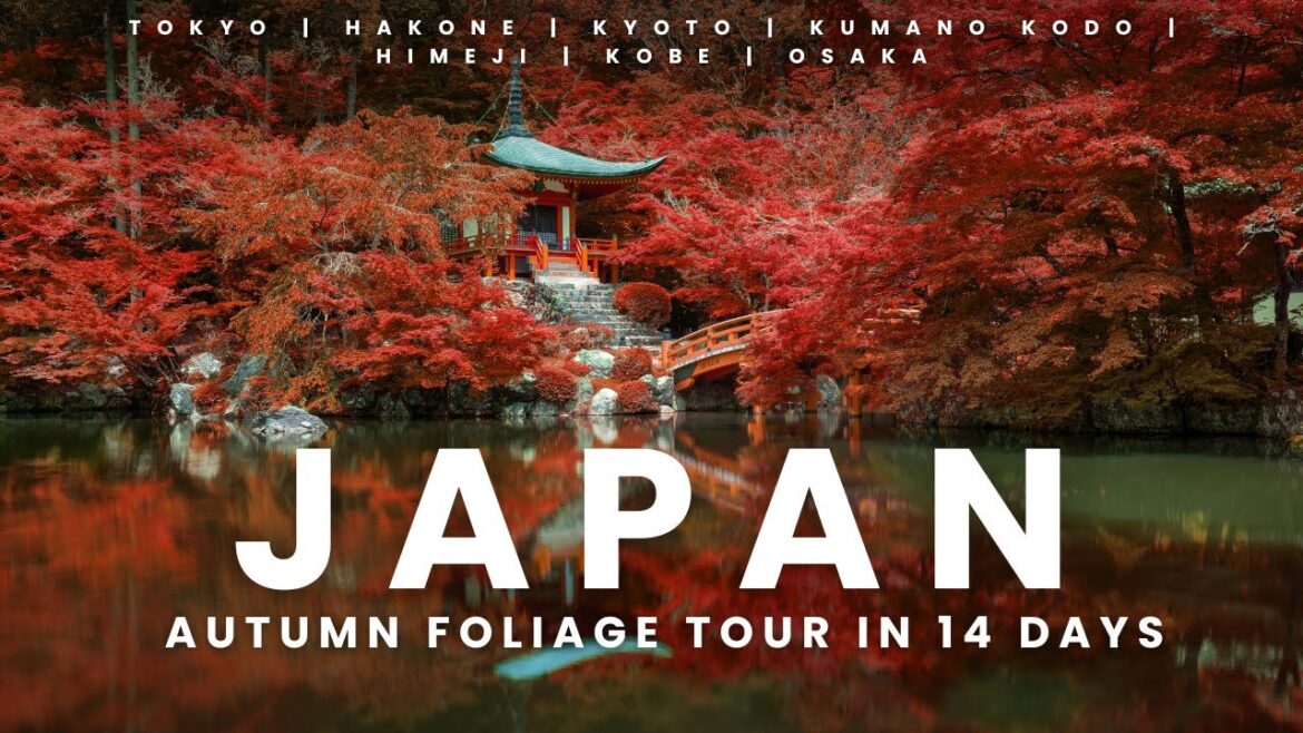Autumn Trip in Japan: 14-Day Fall Color Itinerary with Kumano Kodo! Autumn Trip in Japan: 14-Day Fall Color Itinerary with Kumano Kodo!