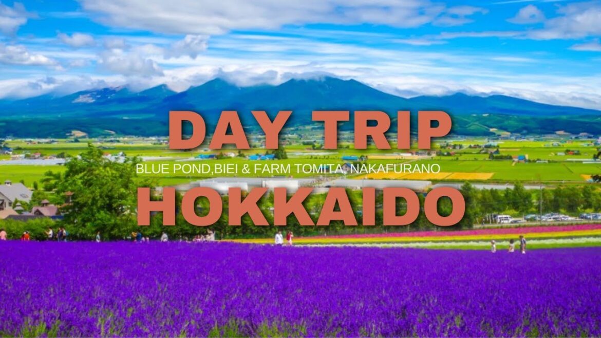 Day Trip In Hokkaido | Biei Blue Pond | Farm Tomita Furano Day Trip In Hokkaido | Biei Blue Pond | Farm Tomita Furano