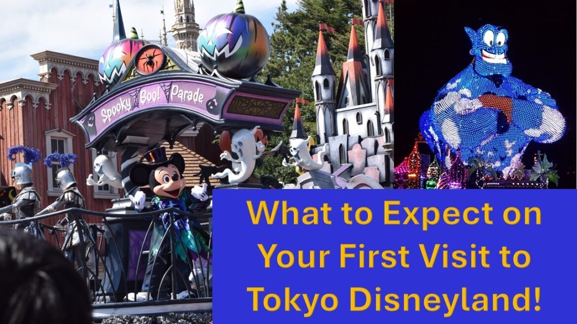 From Rides to Parades: What to Expect at Disneyland Tokyo #japantravel #travelvlog #disneyland