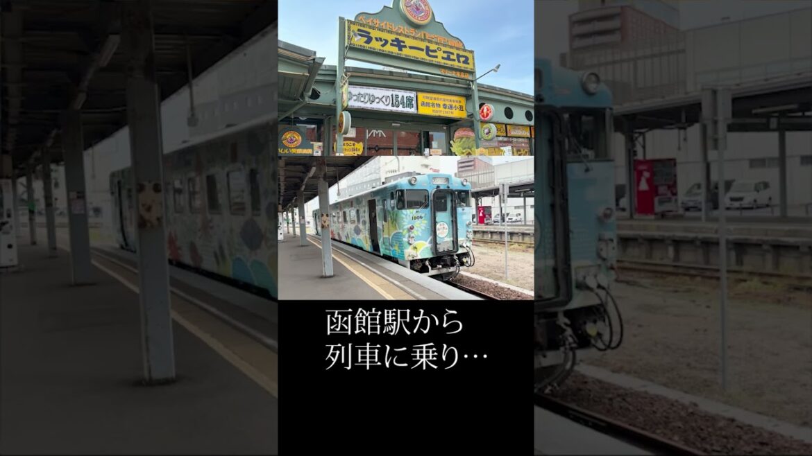 【函館】の観光スポット8選 / The 8 Sightseeing Spots in Hakodate , Hokkaido Japan #shorts #函館 #北海道 #japan #旅行 #観光