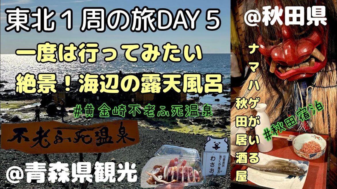 【東北1周旅行DAY5🚗青森県/秋田県】一度は行きたい絶景露天風呂の黄金崎不老ふ死温泉♨️秋田県のご当地グルメとなまはげショーを堪能👹
