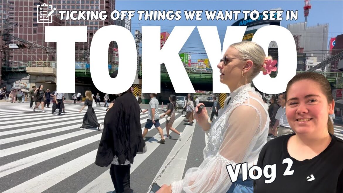 Sightseeing in Tokyo city | Shinjuku | Cat Billboards | Moss burger | Disney Flagship store Sightseeing in Tokyo city | Shinjuku | Cat Billboards | Moss burger | Disney Flagship store