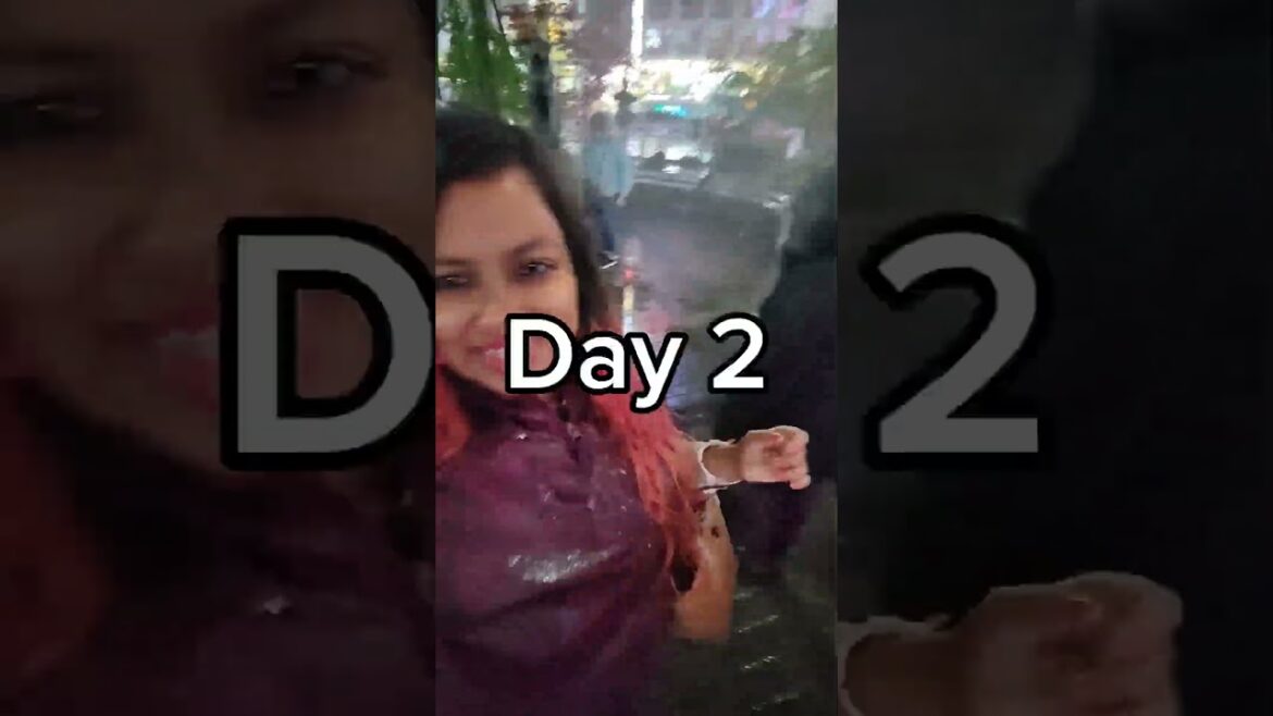 Can You Imagine You Can Explore Tokyo for Free! | Tokyo, Japan #traveljapan #japan2024 #travelwithme