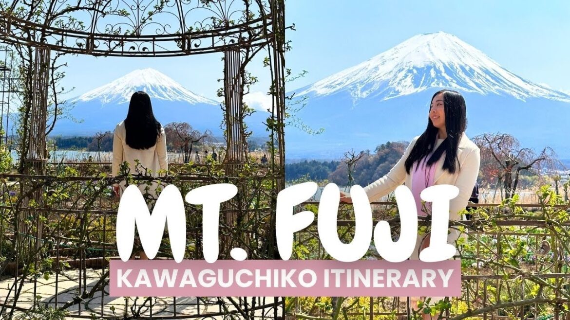 MOUNT FUJI JAPAN VLOG | Hiring a car, things to do and places to eat in Fujikawaguchiko MOUNT FUJI JAPAN VLOG | Hiring a car, things to do and places to eat in Fujikawaguchiko