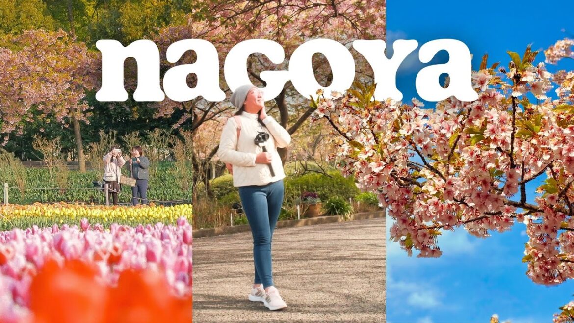 NABANA NO SATO: Flowers & Illuminations ✨| Magical Day Trip from Nagoya 🇯🇵