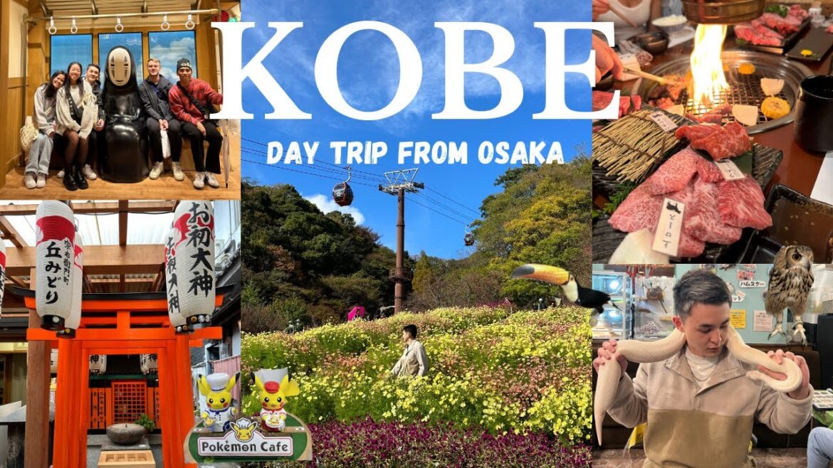 Kobe Day Trip 🇯🇵 | Osaka Castle, Kobe Beef, Animal Cafe, & Hakone + Odawara Kobe Day Trip 🇯🇵 | Osaka Castle, Kobe Beef, Animal Cafe, & Hakone + Odawara