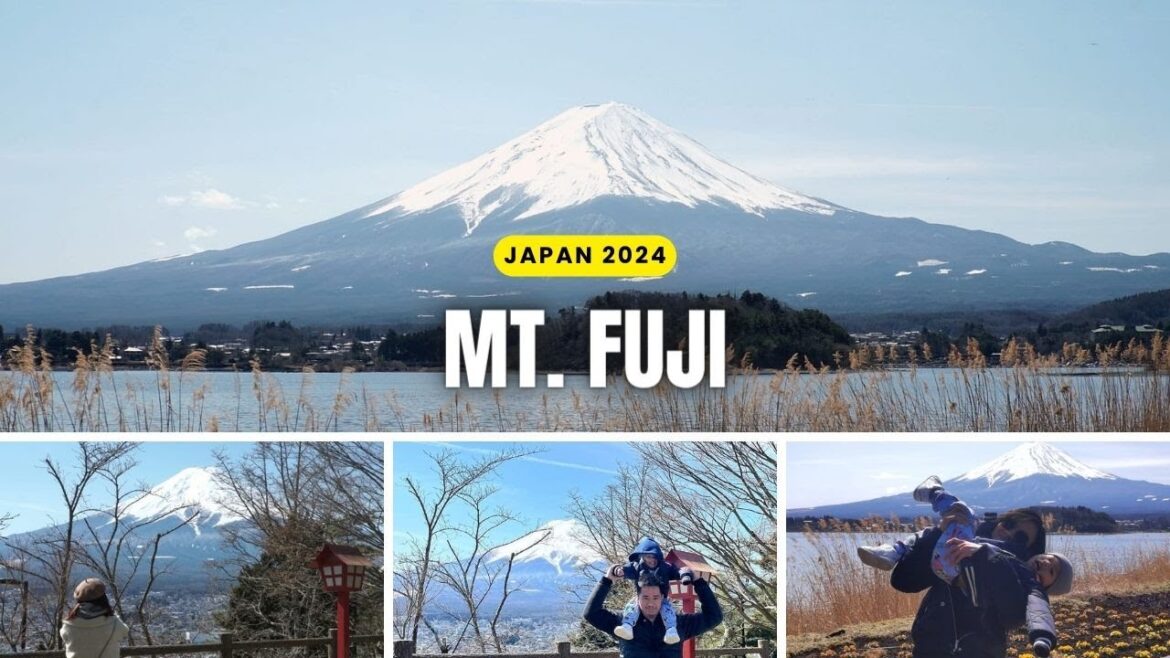 BEST SPOTS TO VIEW MT. FUJI | JAPAN 2024 BEST SPOTS TO VIEW MT. FUJI | JAPAN 2024