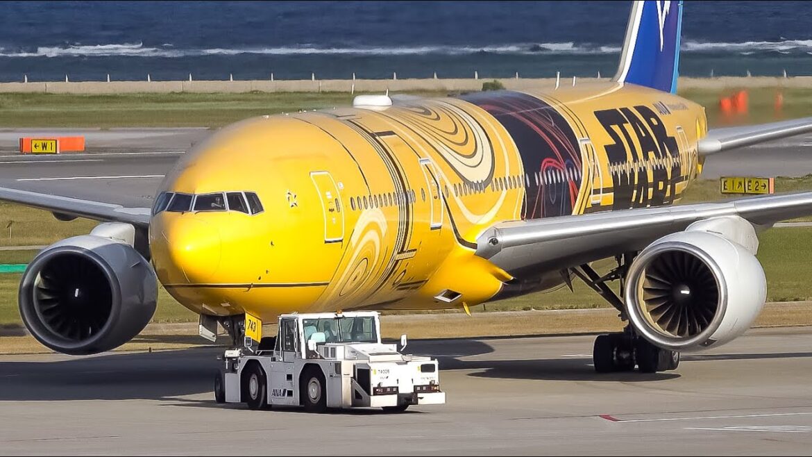 30 Minutes MESMERIZING OKINAWA Plane Spotting | Naha Airport (OKA/ROAH) 30 Minutes MESMERIZING OKINAWA Plane Spotting | Naha Airport (OKA/ROAH)