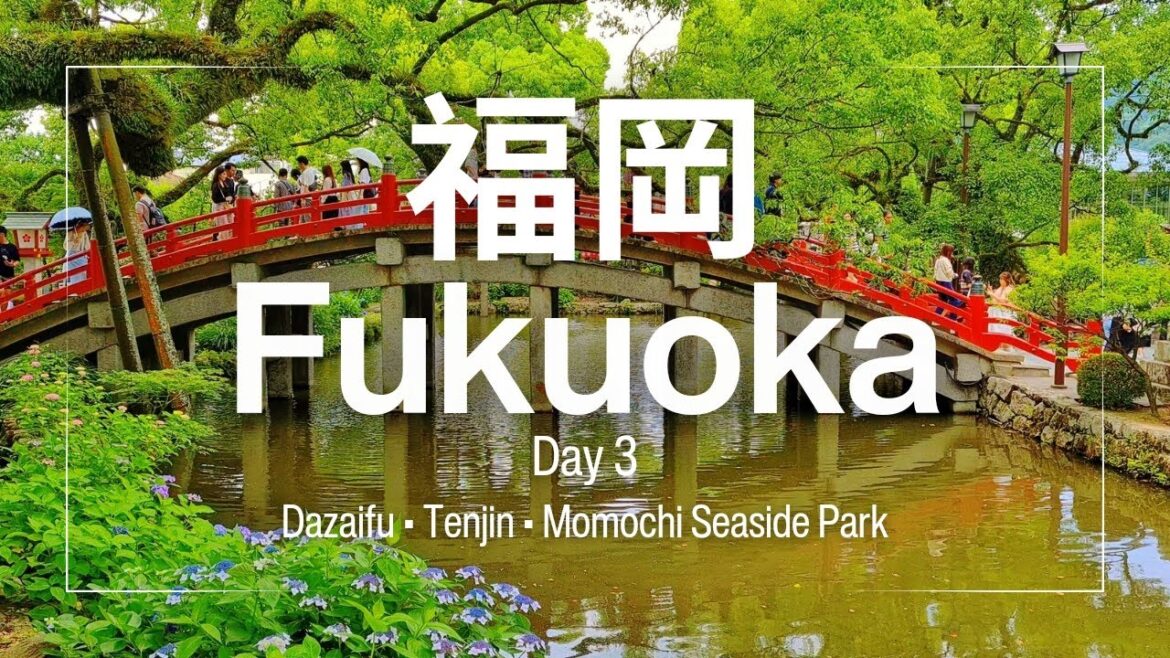 Fukuoka 2024 | Family Travel Day 3 - Walking Tour at Dazaifu, Tenjin, Momochi Seaside Park