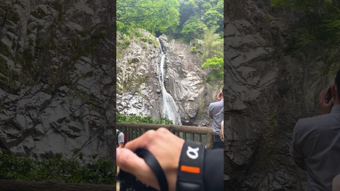 神戸登山プロジェクト　#トレコリニューアル