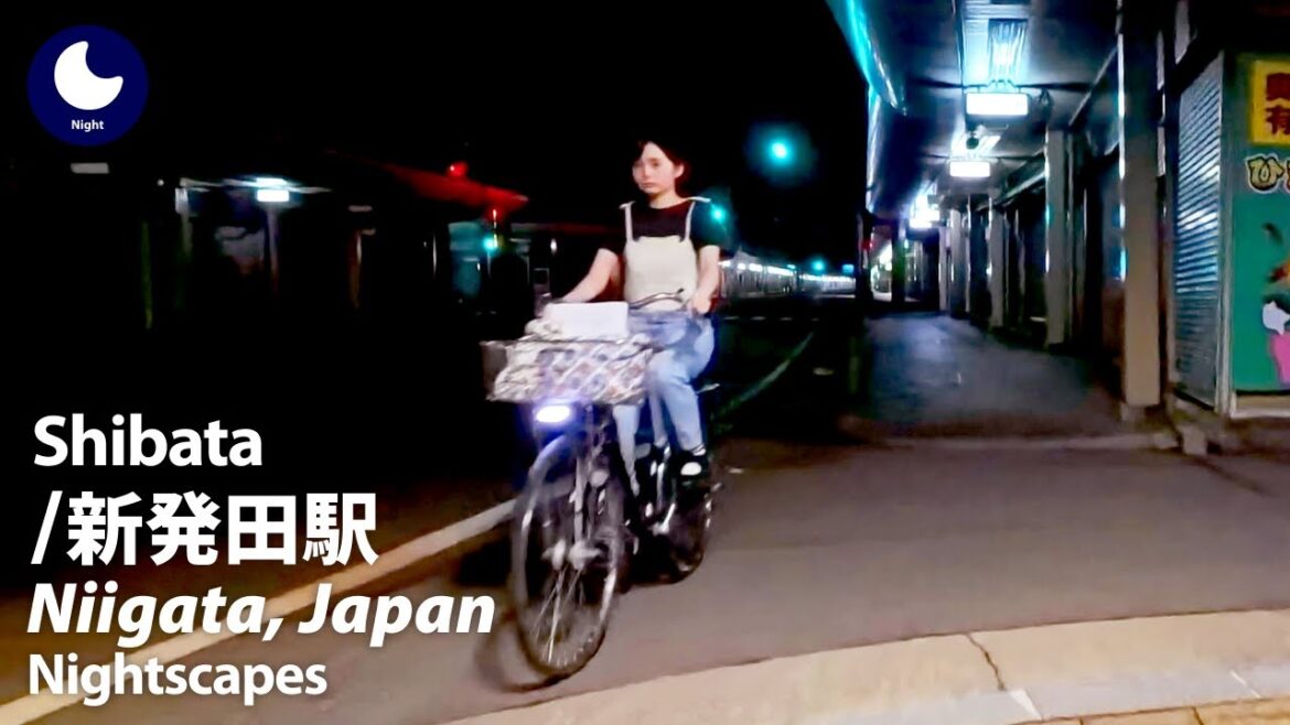 ⁴ᴷ Niigata: Shibata Station (新潟県: 新発田駅) – Japan Walking Tour (July, 2024) ⁴ᴷ Niigata: Shibata Station (新潟県: 新発田駅) - Japan Walking Tour (July, 2024)