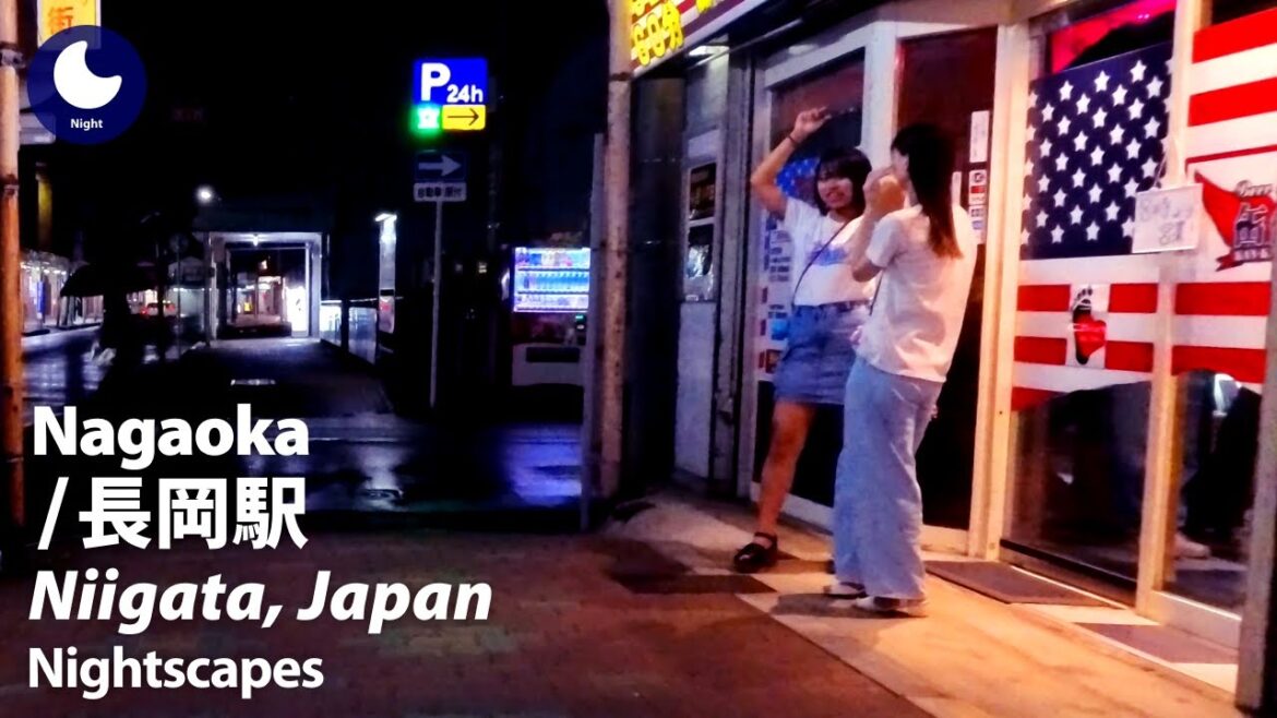 ⁴ᴷ Niigata: Nagaoka Station (新潟県: 長岡駅) – Japan Walking Tour (July, 2024) ⁴ᴷ Niigata: Nagaoka Station (新潟県: 長岡駅) - Japan Walking Tour (July, 2024)