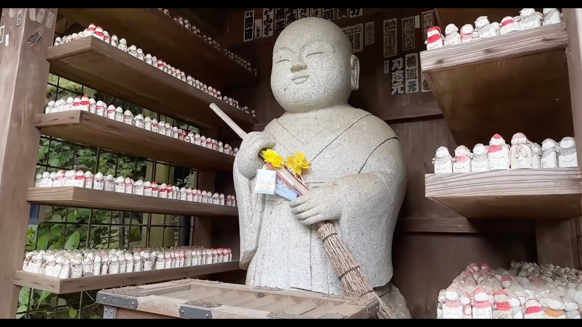 Hondo-ji Temple’s Massive Flower Garden 50000 Hydrangeas Chiba Japan Highlights Hondo-ji Temple's Massive Flower Garden 50000 Hydrangeas Chiba Japan Highlights