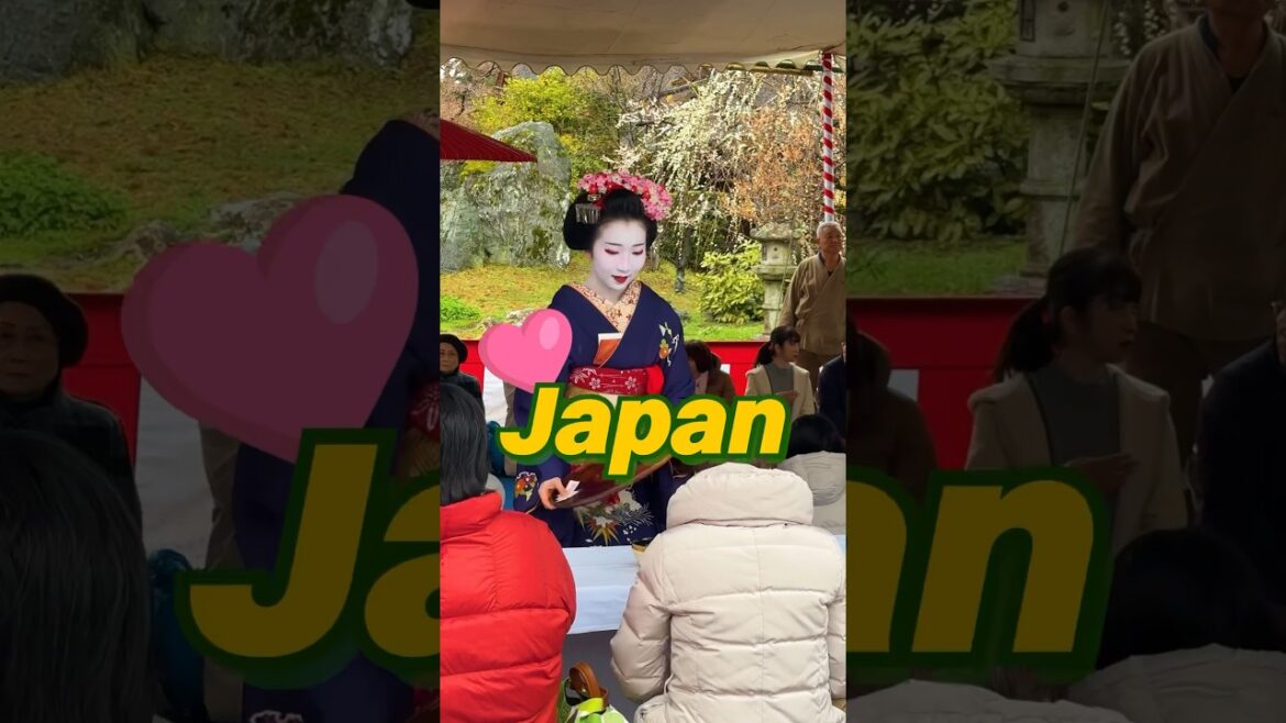 🇯🇵 Do you like JAPAN🌸 #travel #japantravel #japanvlog #japanlife #solotravel #trains #shorts #fypage