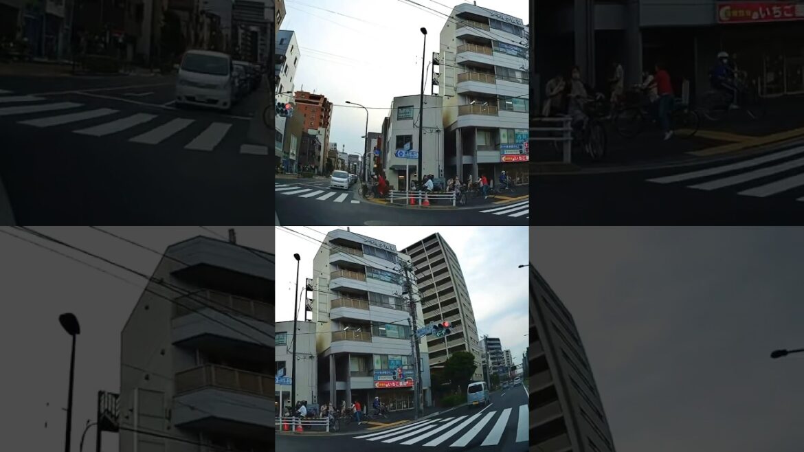 Japan Scenery: Tokyo Roads in Sunset 4 #tokyo #scenery #driving #sunset #roadtrip #history #shorts Japan Scenery: Tokyo Roads in Sunset 4 #tokyo #scenery #driving #sunset #roadtrip #history #shorts