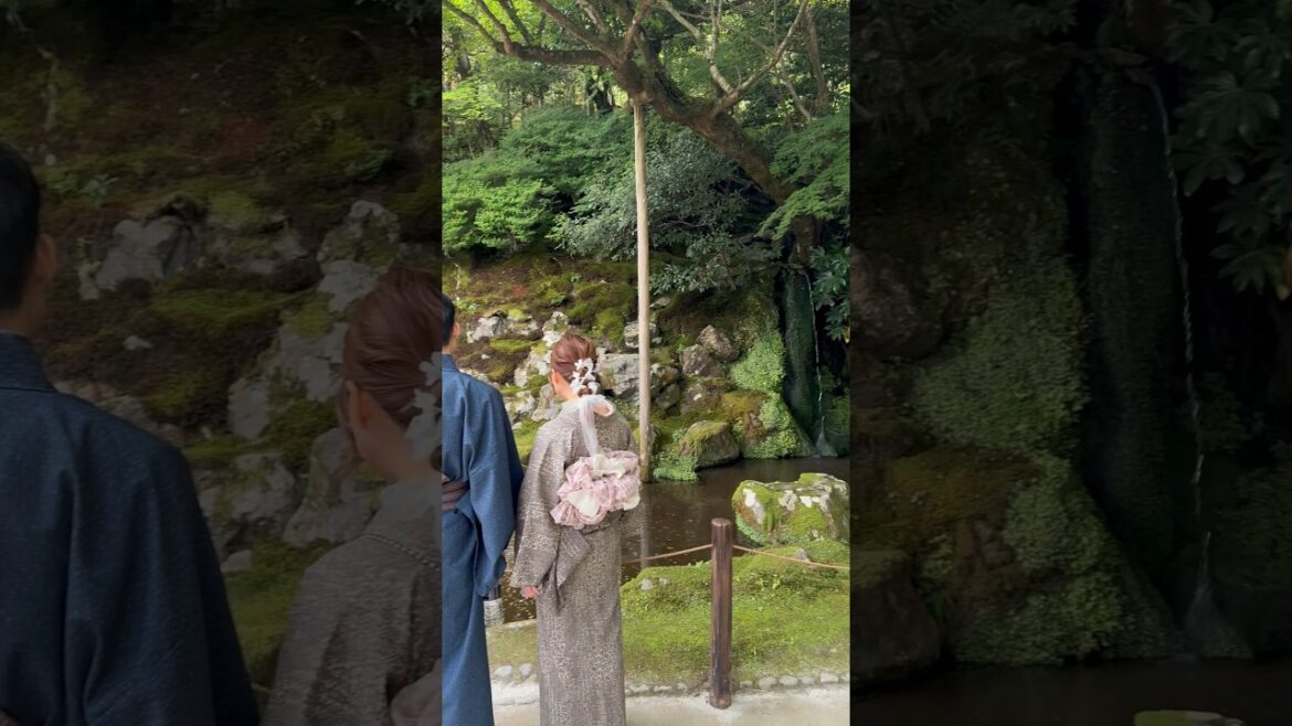 Discover Kyoto's green paradise: Ginkaku-ji (Silver pavillon) #thingstodoinkyoto #japan