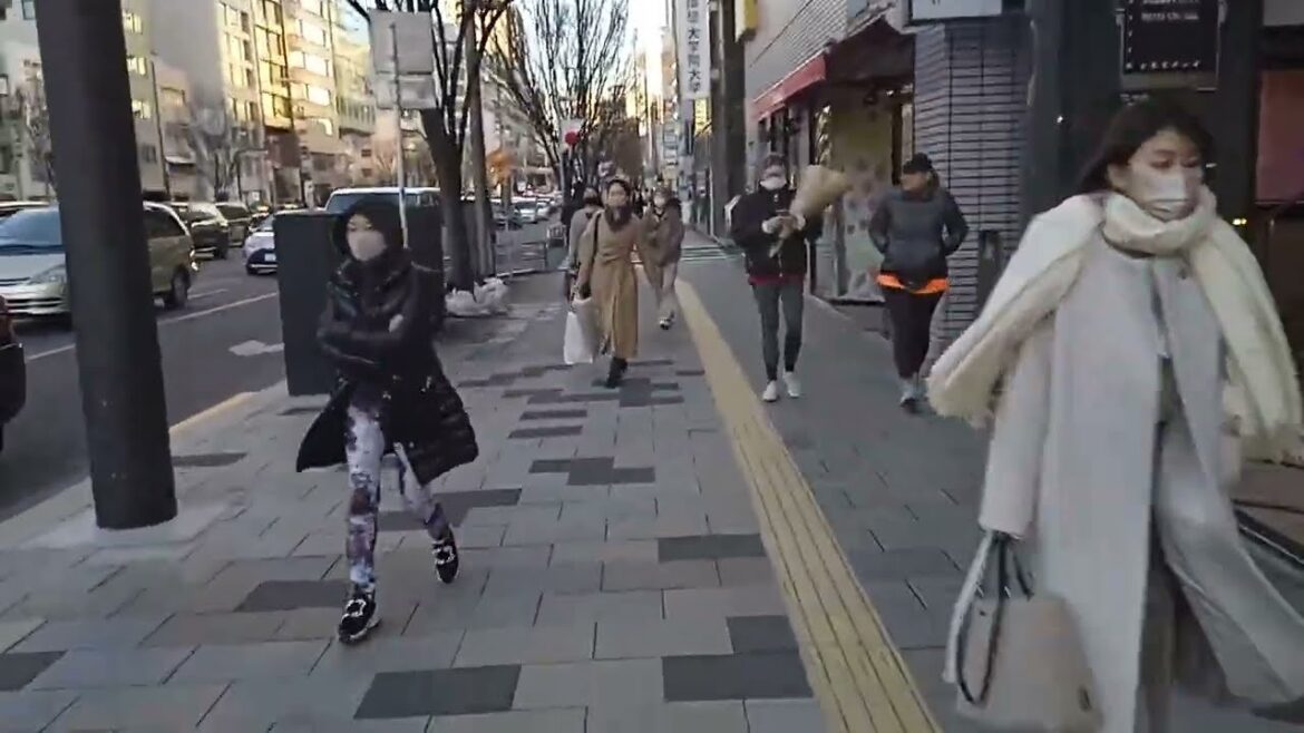 Japan’s Most Expensive Neighborhood in Aoyama Tokyo πΈ Journey Through Japan π―π΅ Japan's Most Expensive Neighborhood in Aoyama Tokyo πΈ Journey Through Japan π―π΅