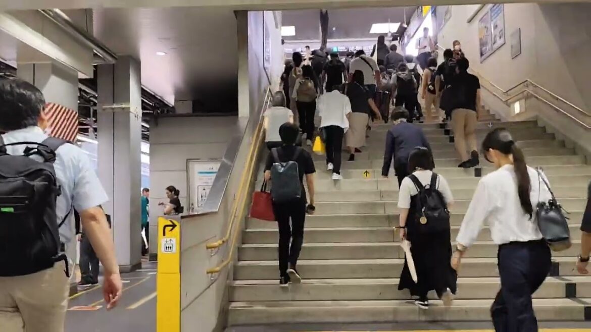 Okayama to Amanohashidate Viewland Part 1 #japan #travel #viewland #trains #amanohashidate #viewland