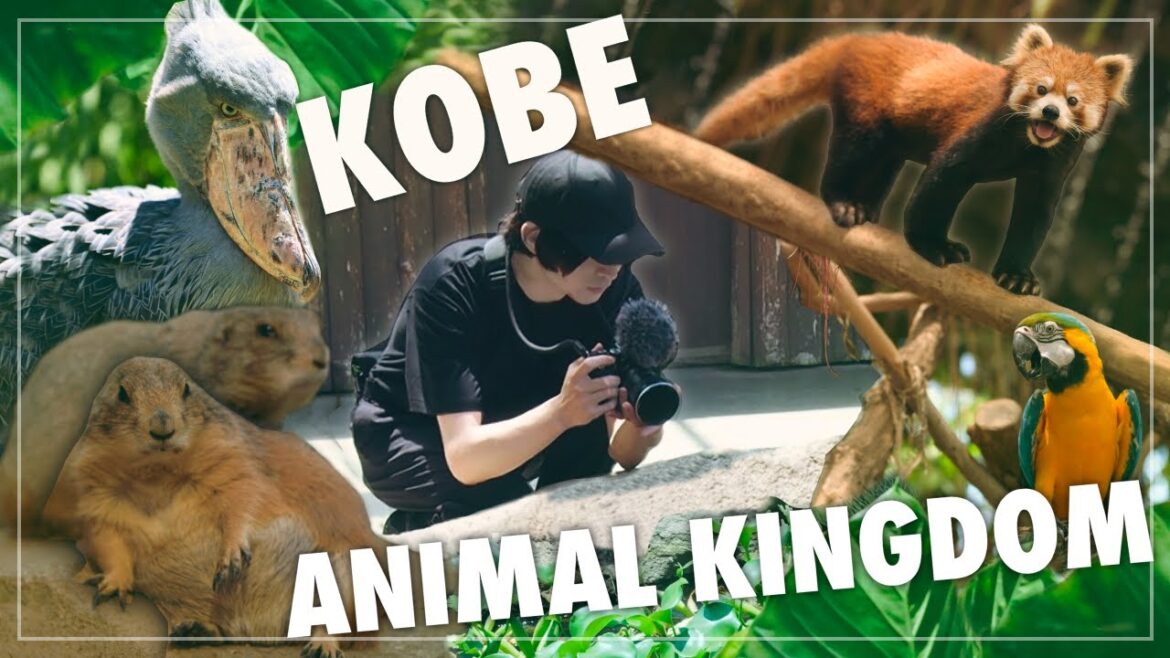 Motorcycle Travel | KOBE ANIMAL KINGDOM: Photographic tour| Motovlog