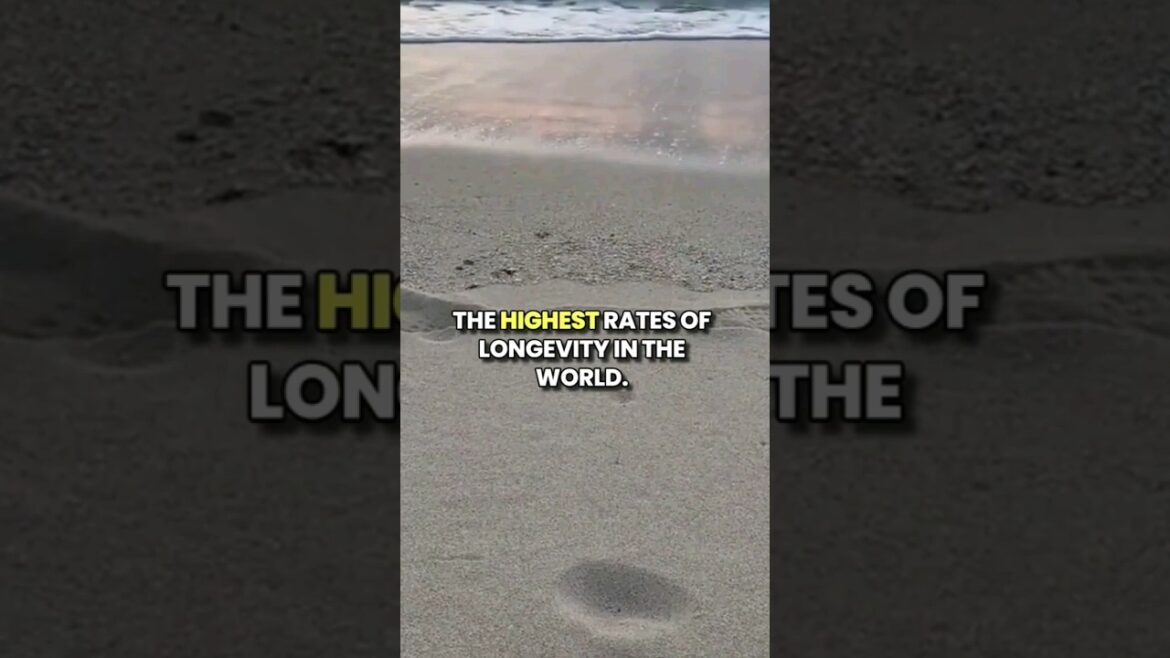 Okinawa has more than 600 people aged 100+ years ! #shorts #travel #japan #okinawa Okinawa has more than 600 people aged 100+ years ! #shorts #travel #japan #okinawa