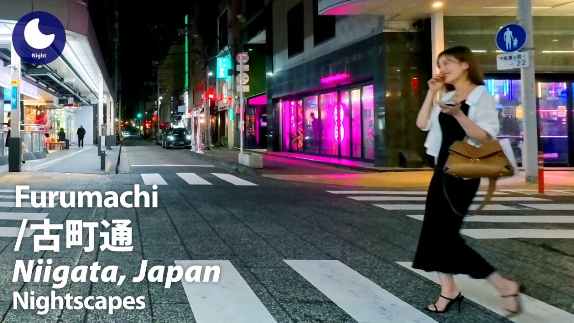 ⁴ᴷ Niigata: Furumachi District (新潟県: 古町通) – Japan Walking Tour (July, 2024) ⁴ᴷ Niigata: Furumachi District (新潟県: 古町通) - Japan Walking Tour (July, 2024)