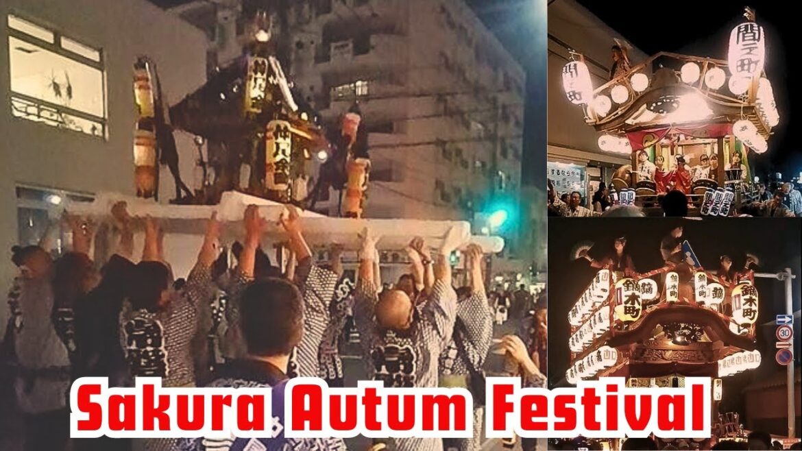 Japan Trip 2023 Part 13 - Sakura Autumn Festival