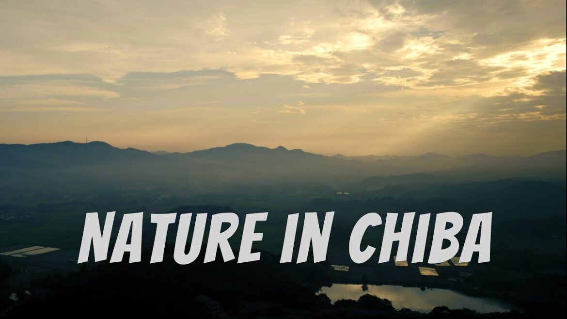 Escape the Crowds (The Tokyo Day-Trip to CHIBA's Hidden Spots)